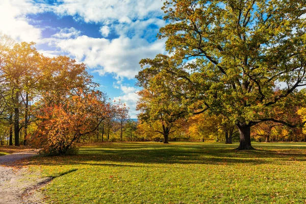 Golden Autumn Scene Park Falling Leaves Sun Shining Trees Blue — Stock Photo, Image