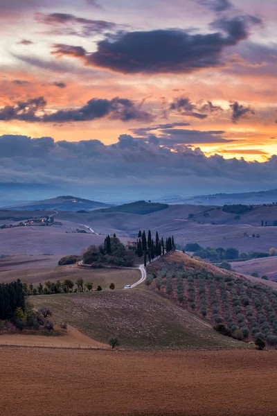 Bekende Toscaanse Landschap Met Graanvelden Cipressen Huizen Heuvels Bij Zonsondergang — Stockfoto