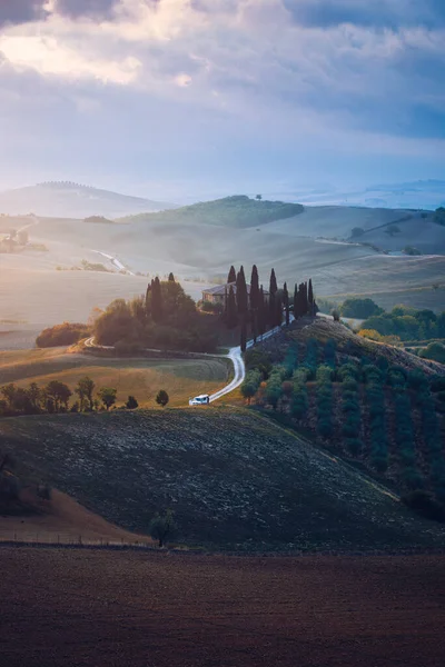 Hills Olive Gardens Small Vineyard Rays Morning Sun Italy Tuscany —  Fotos de Stock