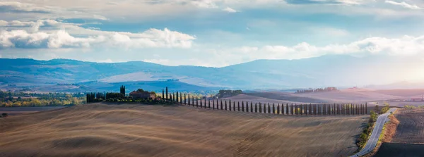 Известный Тосканский Пейзаж Зерновыми Полями Кипарисами Домами Холмах Закате Летний — стоковое фото