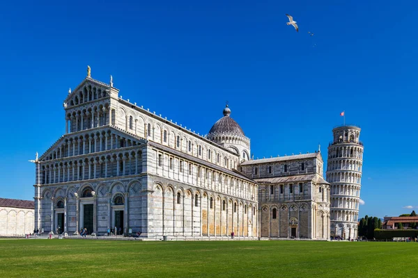 Pisa Cathedral Leaning Tower Sunny Day Pisa Italy Pisa Cathedral — Stockfoto