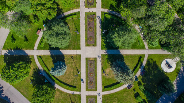 Park "university grove" in front of the university from a height in summer, Tomsk