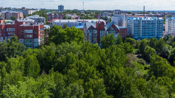 Rusya 'nın Tomsk şehrindeki bir parkta yeşil ağaçlar