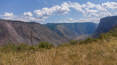 Altai Dağı, Rusya, Sibirya 'daki yaz manzarası
