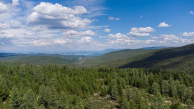 Sibirya 'nın uçsuz bucaksız ormanları yazın yüksek bir yerden, Altai Dağı Cumhuriyeti, Rusya