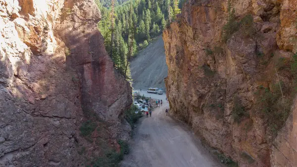 Altai Dağı 'nda yüksek bir yerden 