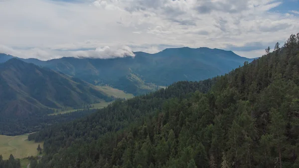 Chike-Taman Geçidi 'ndeki gözlem güvertesinden görüntü, Altai dağ cumhuriyeti, Rusya