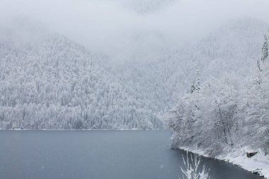Ritsa Gölü 'nün Abhazya gözlem güvertesinden kış manzarası