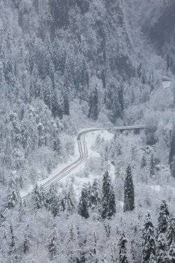 Bir traktör kışın Ritsa Gölü, Abhazya 'ya giden bir dağ yolundan kar temizler.