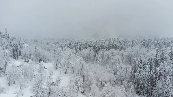 Bosque Invierno Las Montañas Nieve Blanca Cayendo Sobre Los Árboles —  Fotos de Stock