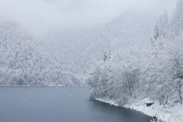 Vista Lago Ritsa Partir Convés Observação Abcásia Inverno — Fotografia de Stock