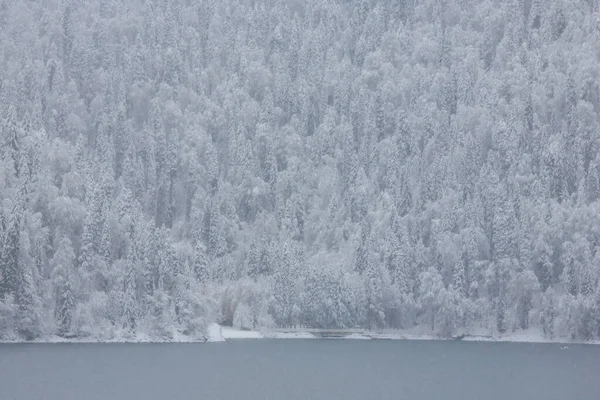 Paisaje Bosque Taiga Invierno Lago Ritsa Abjasia Invierno —  Fotos de Stock