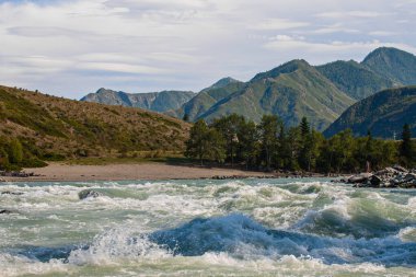 Fırtınalı bir dağ nehri olan yaz manzarası, Gorny Altai Cumhuriyeti, Rusya