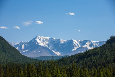 Severo-Chuysky Sıradağları 'nın yaz manzarası, Gorny Altai Cumhuriyeti, Rusya