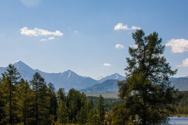 Bir gölü olan yaz manzarası, Gorny Altai Cumhuriyeti, Rusya
