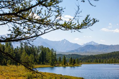 Dağ gölüyle yaz manzarası, Gorny Altai Cumhuriyeti, Rusya