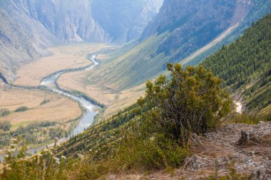 Chulyshman Nehri Vadisi, Gorny Altai Cumhuriyeti, Rusya