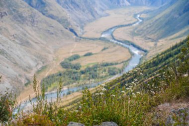 Nehir vadisine bakan gözlem güvertesi, Gorny Altai Cumhuriyeti, Katu-Yaryk, Rusya