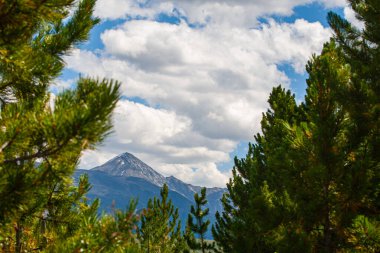 Yazın kozalaklı orman ve dağın tepesi, Gorny Altai Cumhuriyeti, Rusya