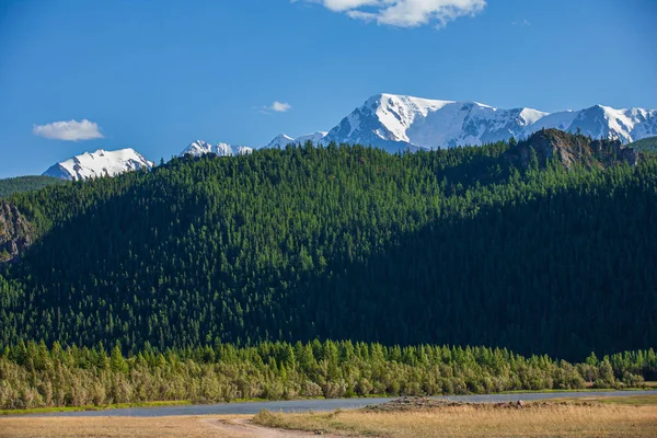 Dağ Manzarasında Kar Yeşil Ağaçlar Gorny Altai Cumhuriyeti Rusya — Stok fotoğraf