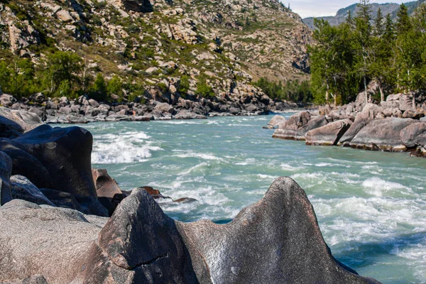 Vista Rio Turquesa Katun Verão Das Margens Gorny Altai Rússia — Fotografia de Stock