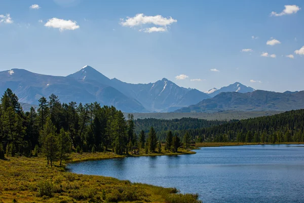 Летний Горный Пейзаж Озером Лесом Горами Республика Алтай Россия — стоковое фото