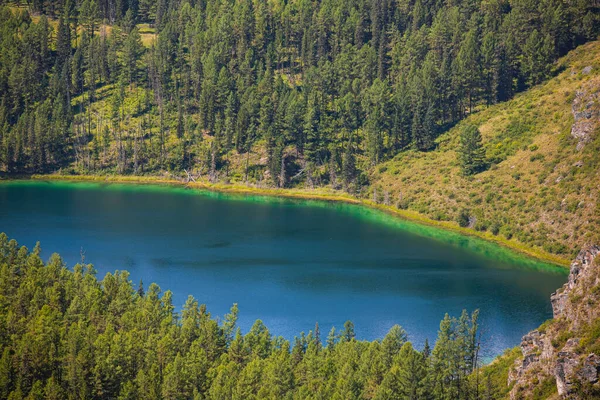 高さから夏の青い湖ウッケルの海岸 ゴーニー アルタイ共和国 ロシア — ストック写真