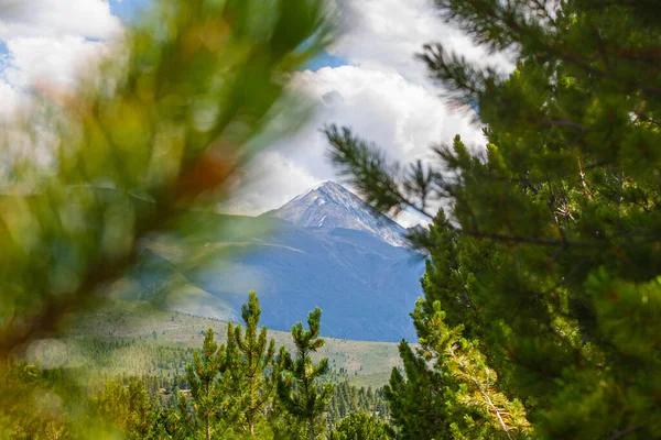 Rusya Nın Gorny Altai Cumhuriyeti Ndeki Köknar Dallarından Geçen Bir — Stok fotoğraf