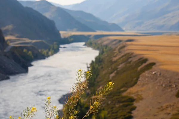 Chuisky Tracto Largo Del Río Katun República Gorny Altai Rusia —  Fotos de Stock