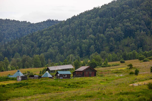 Ormanın arka planında tahta evler, Gorny Altai Cumhuriyeti, Rusya