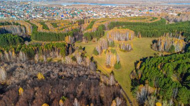 Landscape park on the outskirts of the city of Novosibirsk, Russia clipart