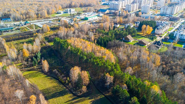 Edificios Residenciales Cerca Del Bosque Ciudad Krasnoobsk Región Novosibirsk Rusia — Foto de Stock