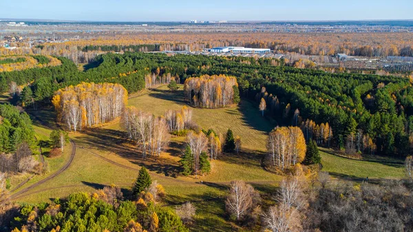 Jesienny Park Lotu Ptaka Miasto Krasnoobsk Obwód Nowosybirski Rosja — Zdjęcie stockowe