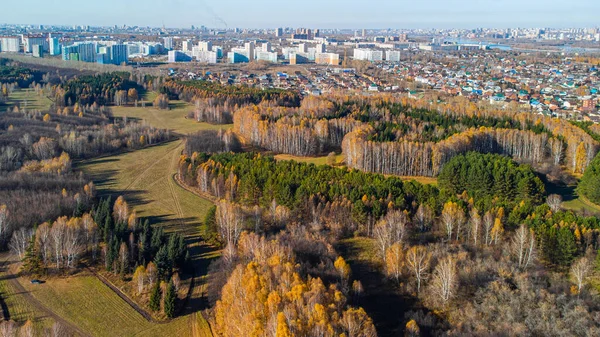Edificios Residenciales Ciudad Novosibirsk Cerca Del Bosque Rusia Otoño — Foto de Stock