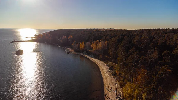 Günbatımında deniz kıyısında sonbahar ormanı yukarıdan Novosibirsk, Rusya