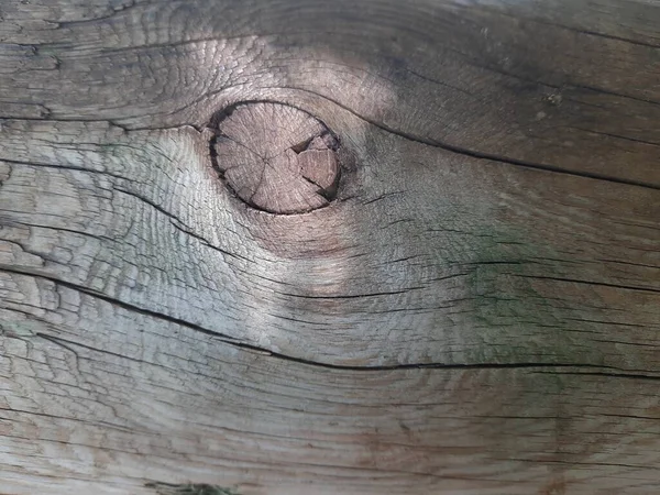 Background Natural Brown Wood — Stock Photo, Image