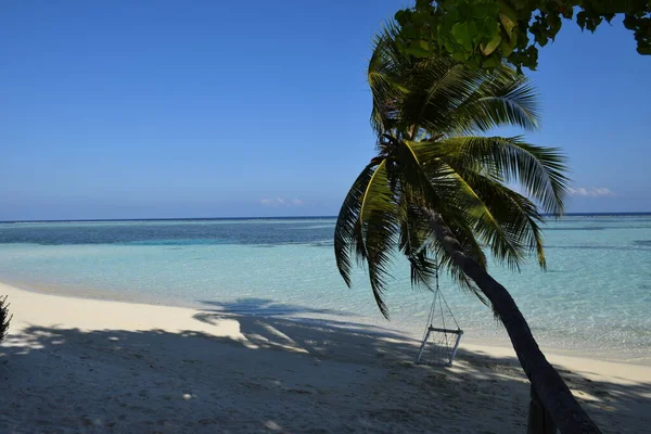 Playa Mar Con Palmeras Sobre Fondo Isla Tropical Del Océano —  Fotos de Stock