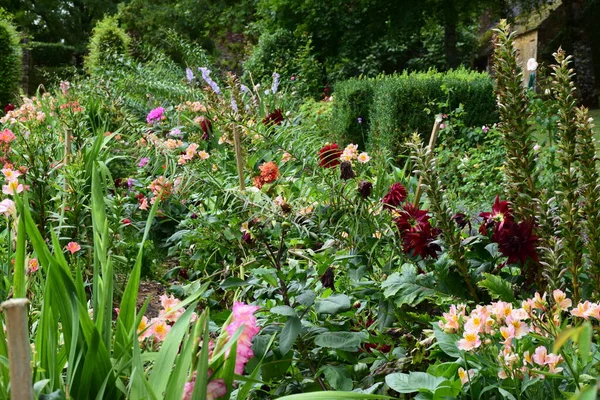Beautiful Flowers French Garden — Stock Photo, Image