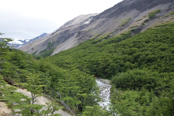 Fluss Torres Del Paine Nationalpark Torres Del Paine Patagonien Chile — Stockfoto