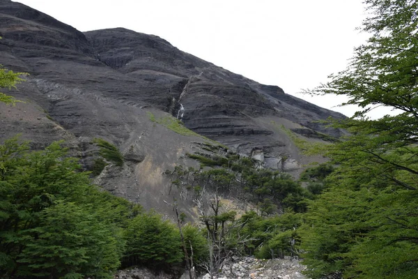Torres del Paine Vadisi Ulusal Parkı, Patagonya Şili 