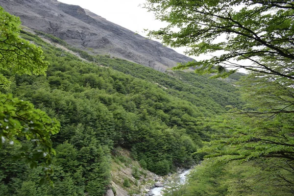 Rivier Aan Voet Van Het Nationaal Park Torres Del Paine — Stockfoto