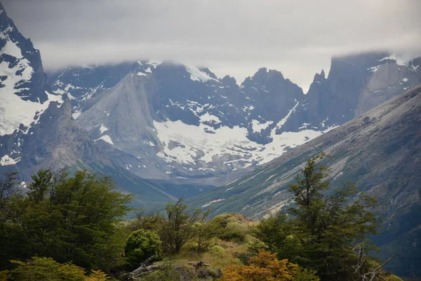 Eis Neben Cuernos Del Paine Und Pehoe Lake Nationalpark Torres — Stockfoto