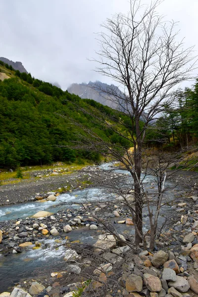 Torres Del Paine National Park Chile — Stock fotografie