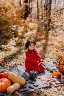 Kırmızı montlu küçük kız sonbahar ormanında elinde bir sepet sonbahar meyvesiyle oturuyor.