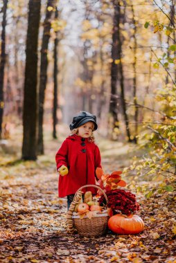 Kırmızı montlu küçük kız sonbahar ormanında elinde bir sepet sonbahar meyvesiyle oturuyor.
