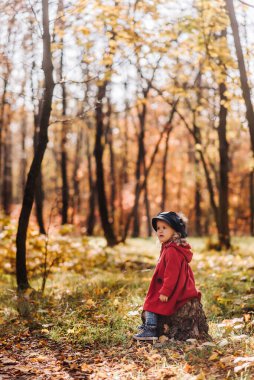 Kırmızı ceketli küçük kız sonbahar ormanında eğleniyor.