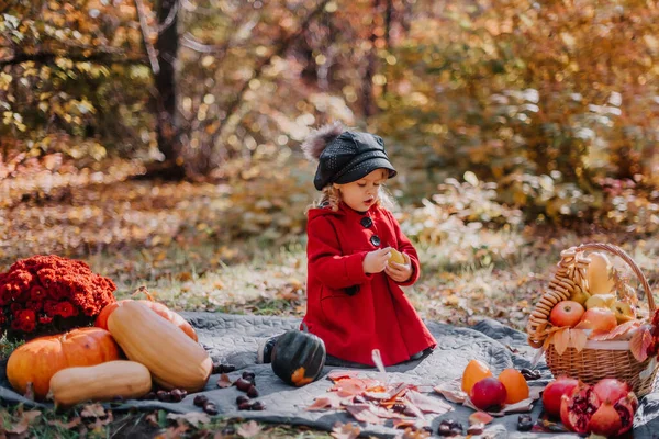 Little girl in a red coat sits in an autumn forest with a basket of autumn fruits