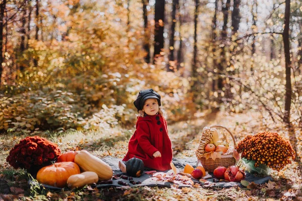 Kırmızı montlu küçük kız sonbahar ormanında elinde bir sepet sonbahar meyvesiyle oturuyor.