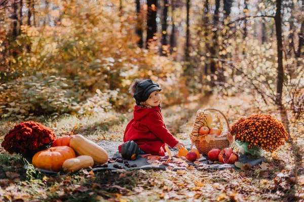 Little girl in a red coat sits in an autumn forest with a basket of autumn fruits
