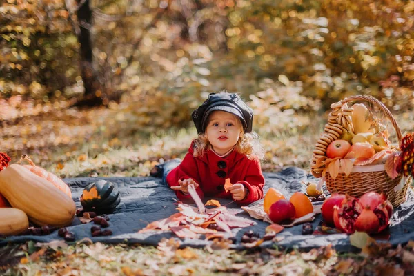 Little girl in a red coat sits in an autumn forest with a basket of autumn fruits
